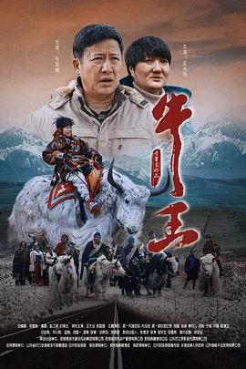 寡妇村的女人