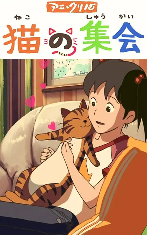 性告白