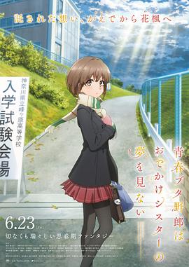 久久这里只有精品免费播放