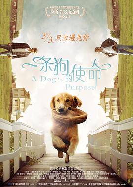 女朋友以前的生活