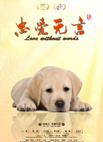 可以在线看的那种网站