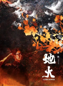 视频一区二区免费