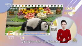 舒淇阁楼无删减版笔趣阁